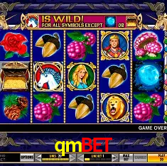 qmbet Salvador - Bonus Stats